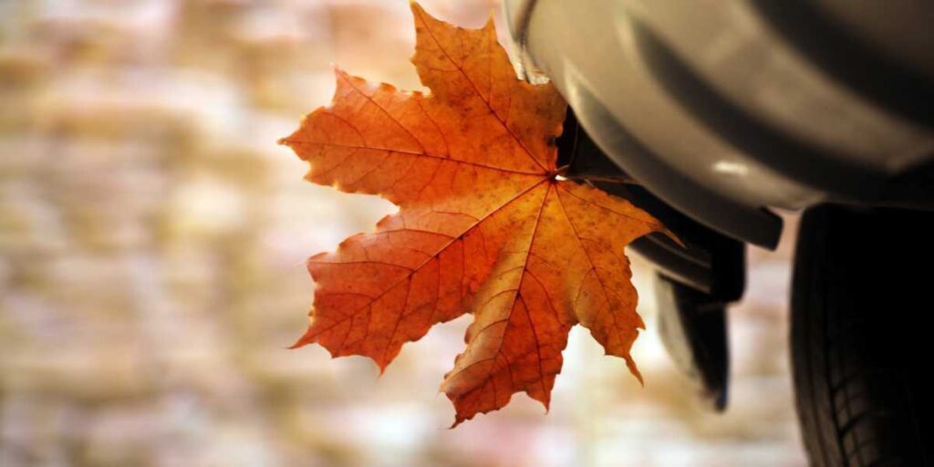 seasonal auto maintenance tips for a car at Anthony's Auto Service in Chehalis